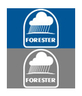 Forester Rain