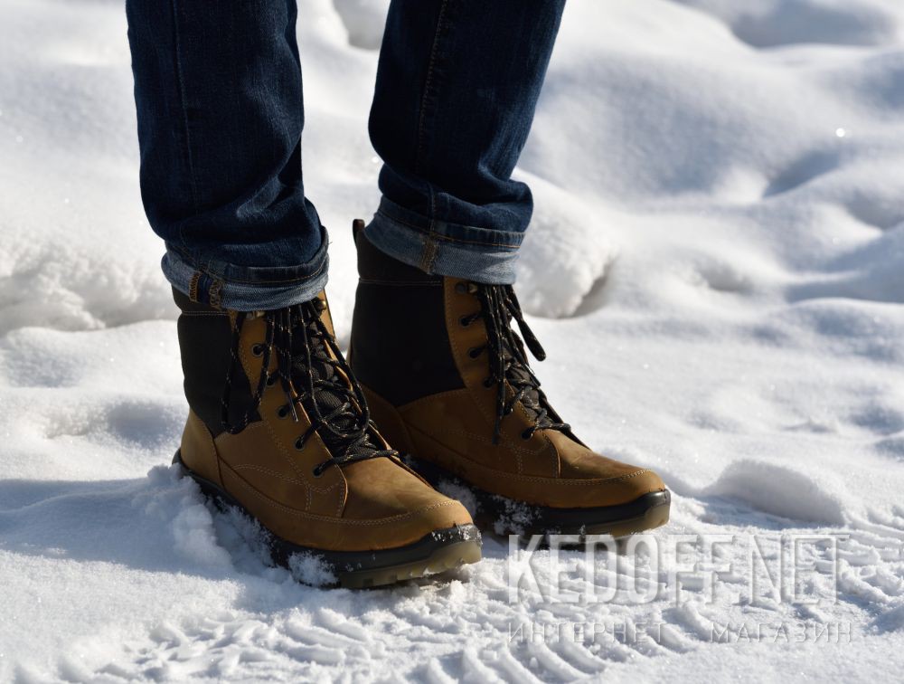 Męskie buty Forester Camel Jack Cordura 3435-2-74