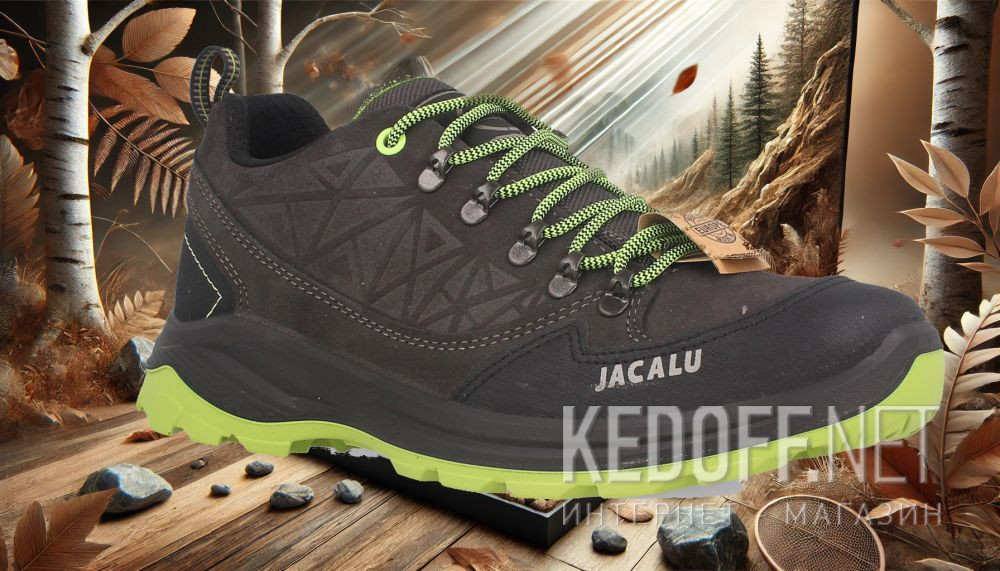 Dostawa Męski sportowe Forester Jacalu 31810-12J