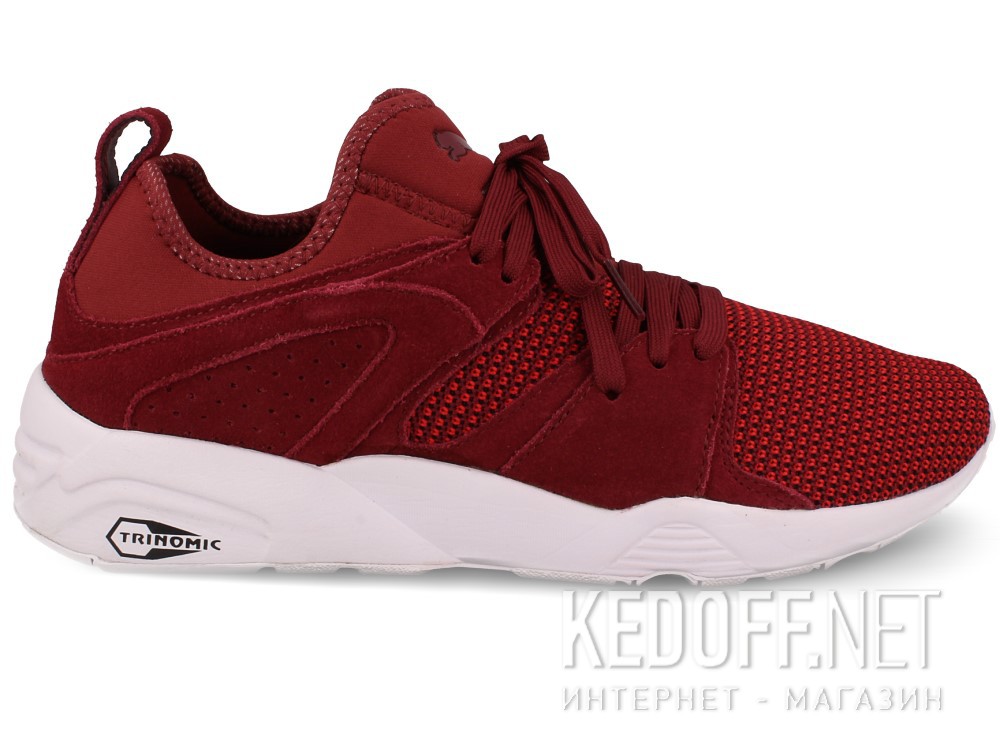 Оригинальные Buty do biegania męskie Puma Blaze Of Glory 364128-02 (bordowy)