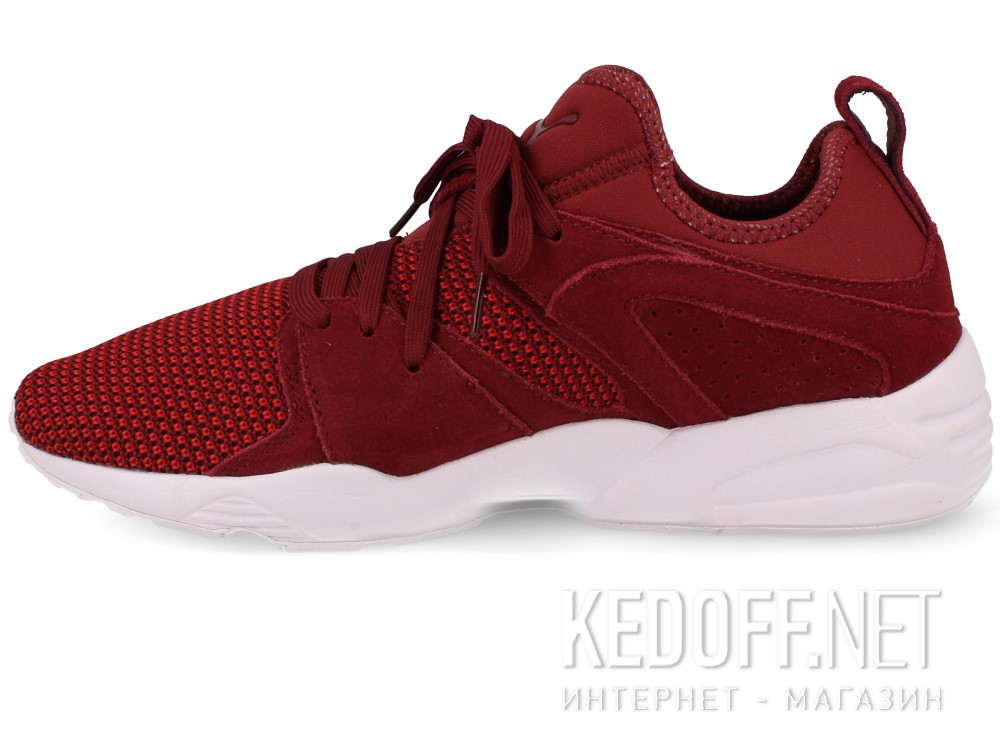 Buty do biegania męskie Puma Blaze Of Glory 364128-02 (bordowy) описание