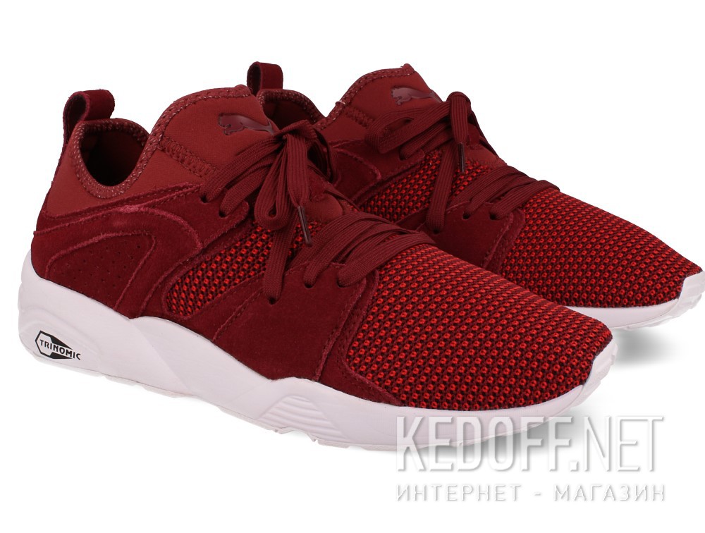 Buty do biegania męskie Puma Blaze Of Glory 364128-02 (bordowy) купить Украина