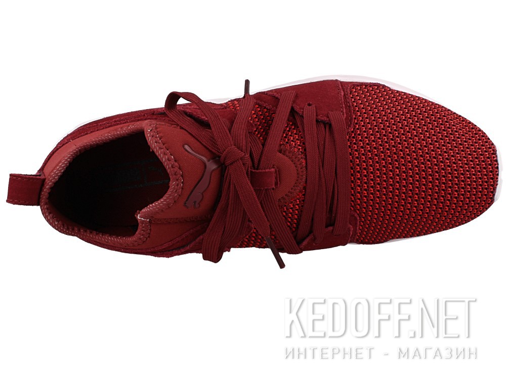 Цены на Buty do biegania męskie Puma Blaze Of Glory 364128-02 (bordowy)